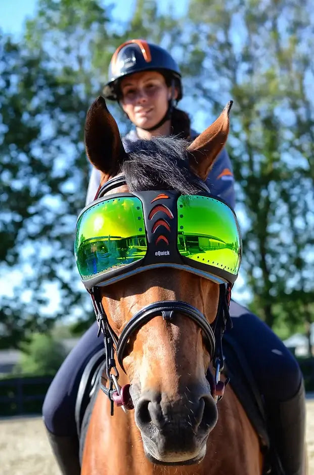 eQuick eVysor - Breeches.com - Flyclothing LLC