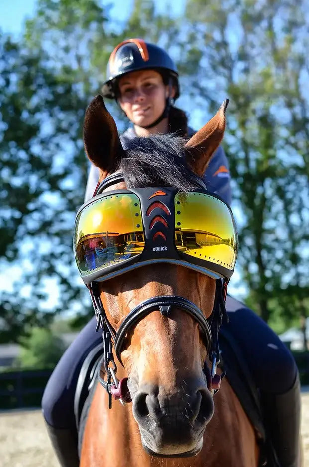 eQuick eVysor - Breeches.com - Flyclothing LLC