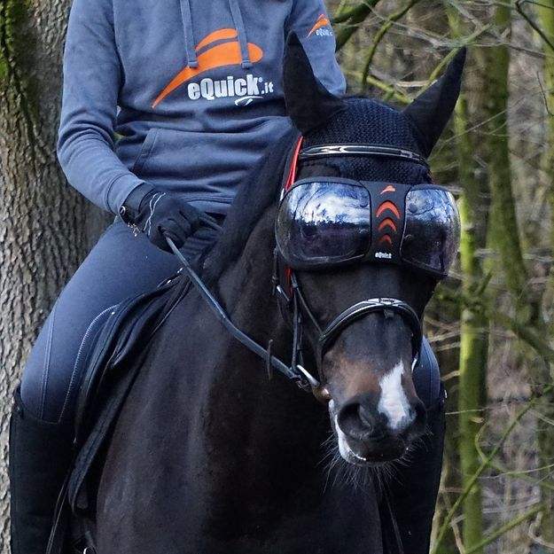 eQuick eVysor - Breeches.com - Flyclothing LLC