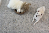 5' X 8' Cream Southwestern Power Loom Stain Resistant Area Rug - Homeroots - Flyclothing LLC