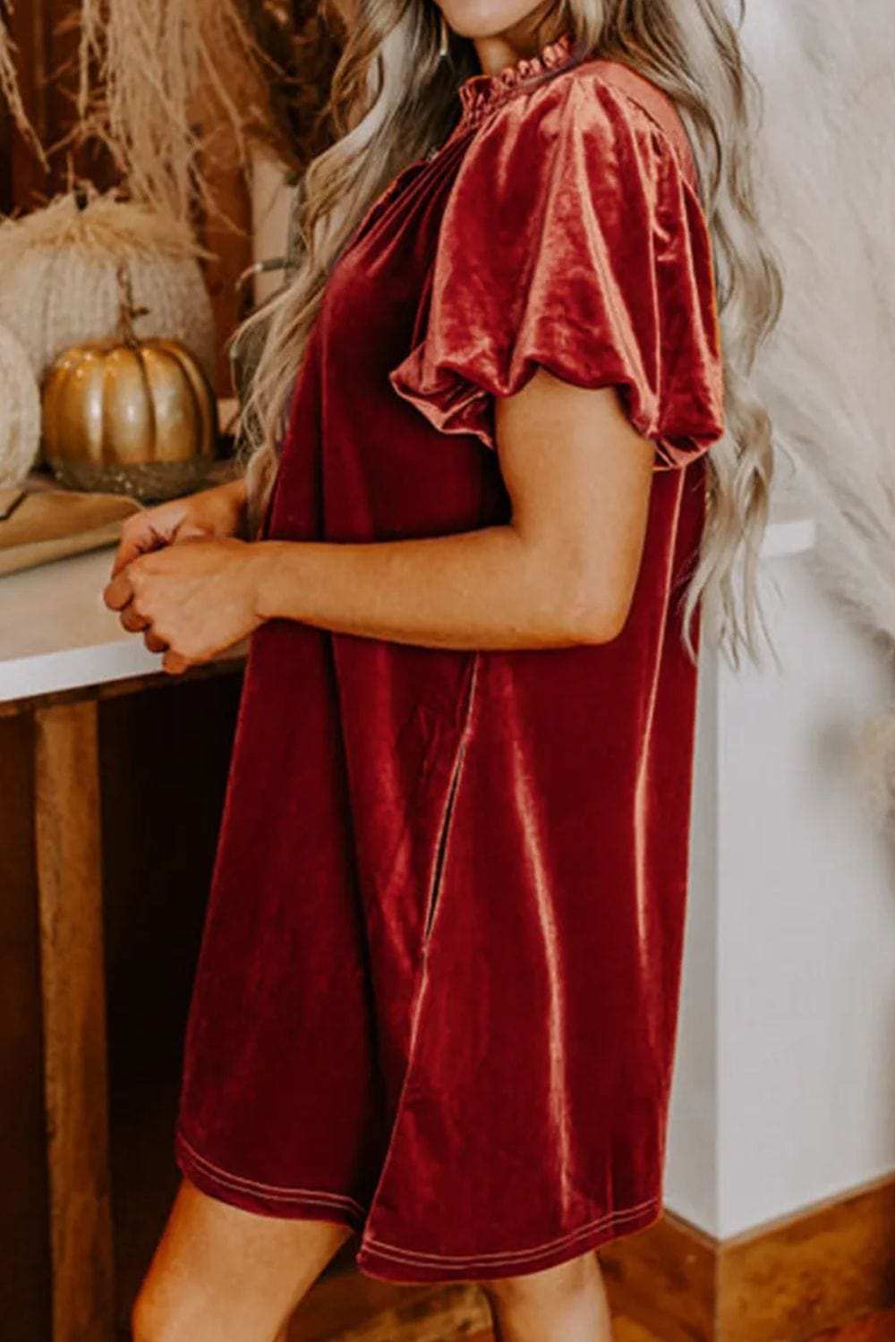 Velvet Tie Neck Short Sleeve Mini Dress - Trendsi - Flyclothing LLC