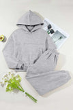 Dropped Shoulder Long Sleeve Hoodie and Pants Active Set - Trendsi - Flyclothing LLC