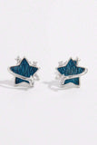 925 Sterling Silver Zircon Star Earrings - Trendsi - Flyclothing LLC