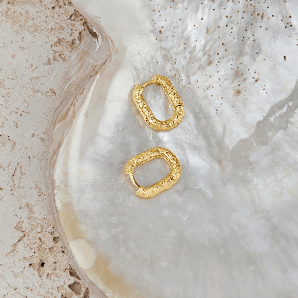 18K Gold-Plated Akira Earrings