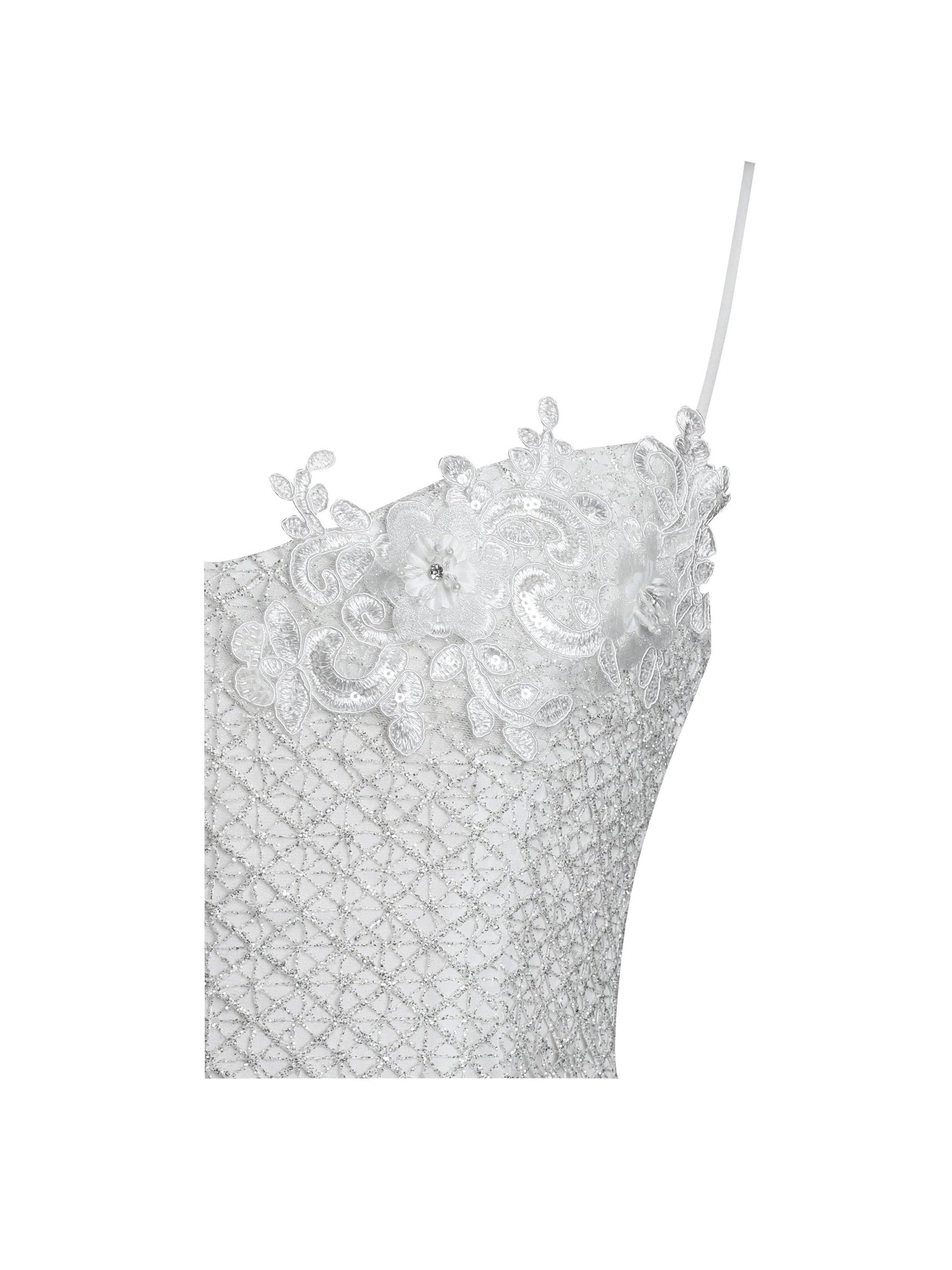 Fabiola Lace Trim Silver Net Top Mini Flare Chiffon Dress - Miss Circle - Flyclothing LLC