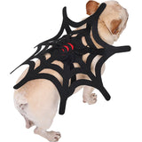 Halloween Cat Dog Spider Web Makeover