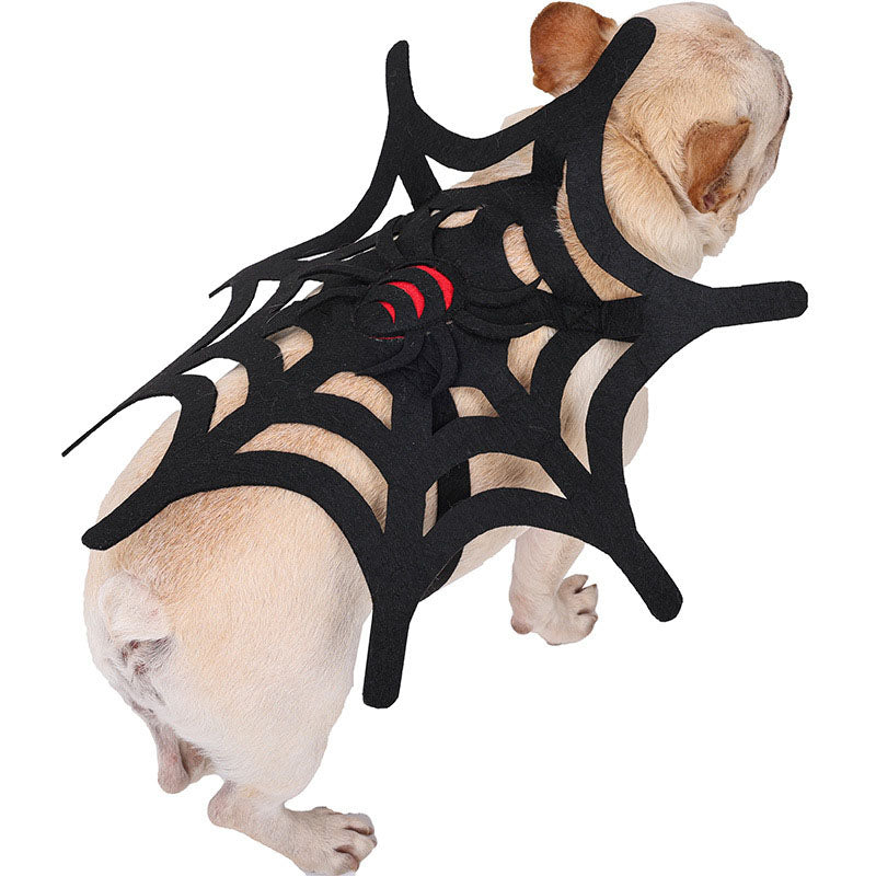 Halloween Cat Dog Spider Web Makeover - My Store - Flyclothing LLC