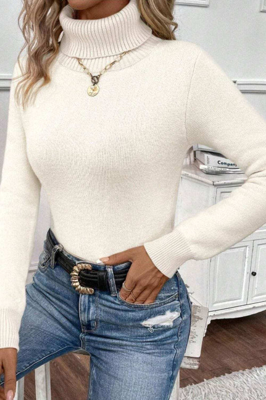 Turtleneck Long Sleeve Sweater - Trendsi - Flyclothing LLC