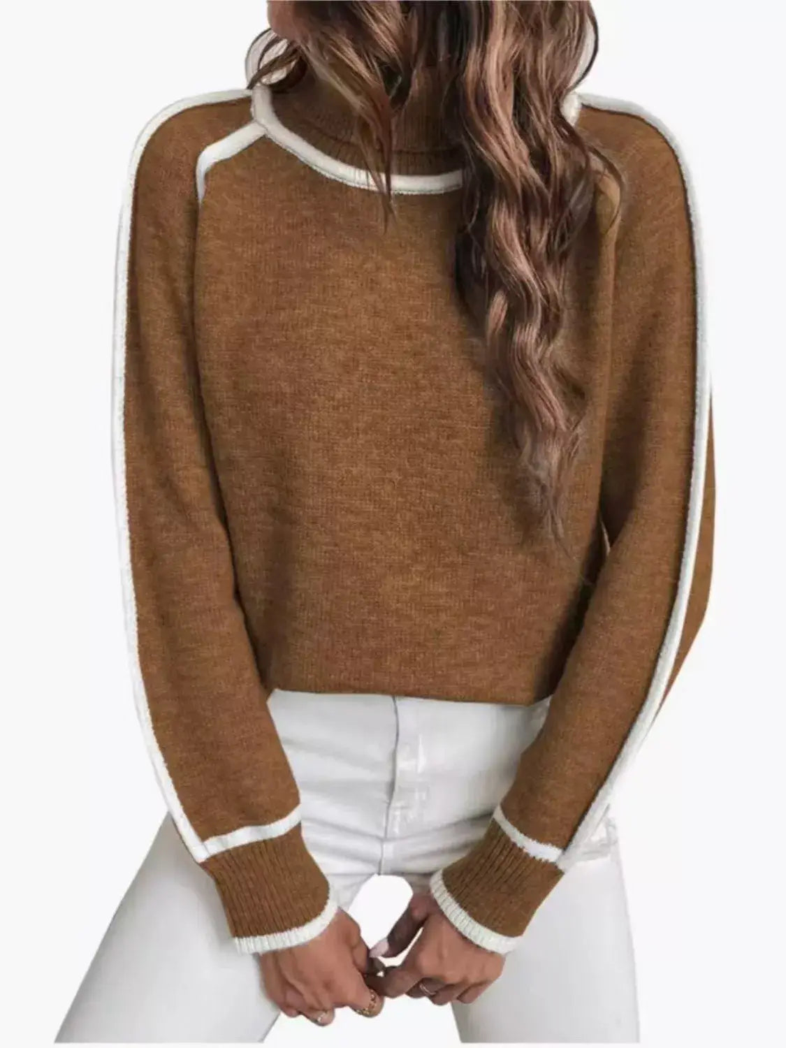 Full Size Turtleneck Contrast Trim Sweater Plus Size - Trendsi - Flyclothing LLC