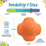 Crazy Bounce Rubber Dog Chew Toy for Power Chewers | Retrieving Ball | USA Made - SodaPup/True Dogs, LLC - Flyclothing LLC