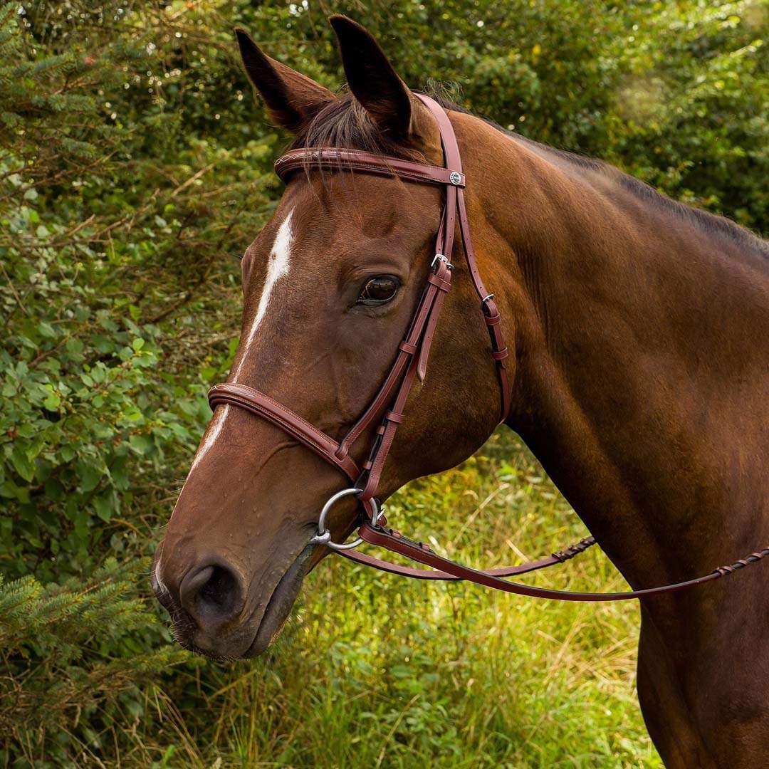 Henri de Rivel Advantage Fancy Raised Padded Bridle With Laced Reins - Breeches.com - Flyclothing LLC