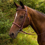 Henri de Rivel Advantage Fancy Raised Padded Bridle With Laced Reins - Breeches.com - Flyclothing LLC
