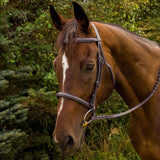 Henri de Rivel Advantage Fancy Raised Padded Bridle With Laced Reins - Breeches.com - Flyclothing LLC