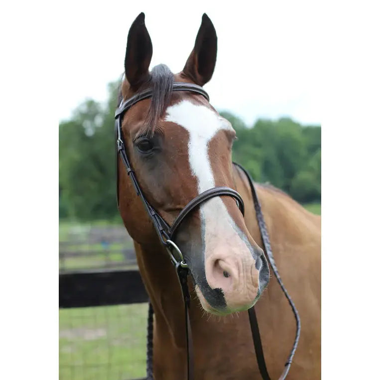 Henri de Rivel Pro Fancy Raised Bridle With Laced Reins - Breeches.com - Flyclothing LLC