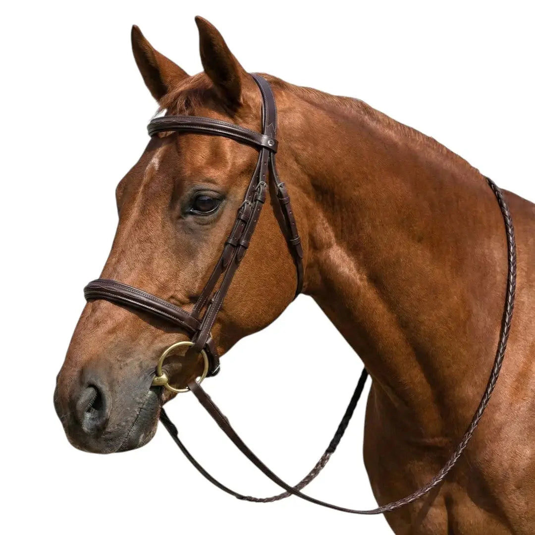 Henri de Rivel Advantage Mono Crown Padded Bridle - Breeches.com - Flyclothing LLC