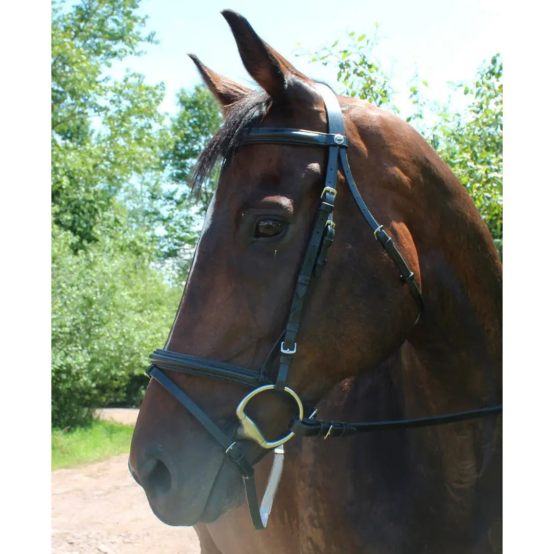 Henri de Rivel Pro Padded Dressage Bridle with Flash and Web Reins - Breeches.com - Flyclothing LLC