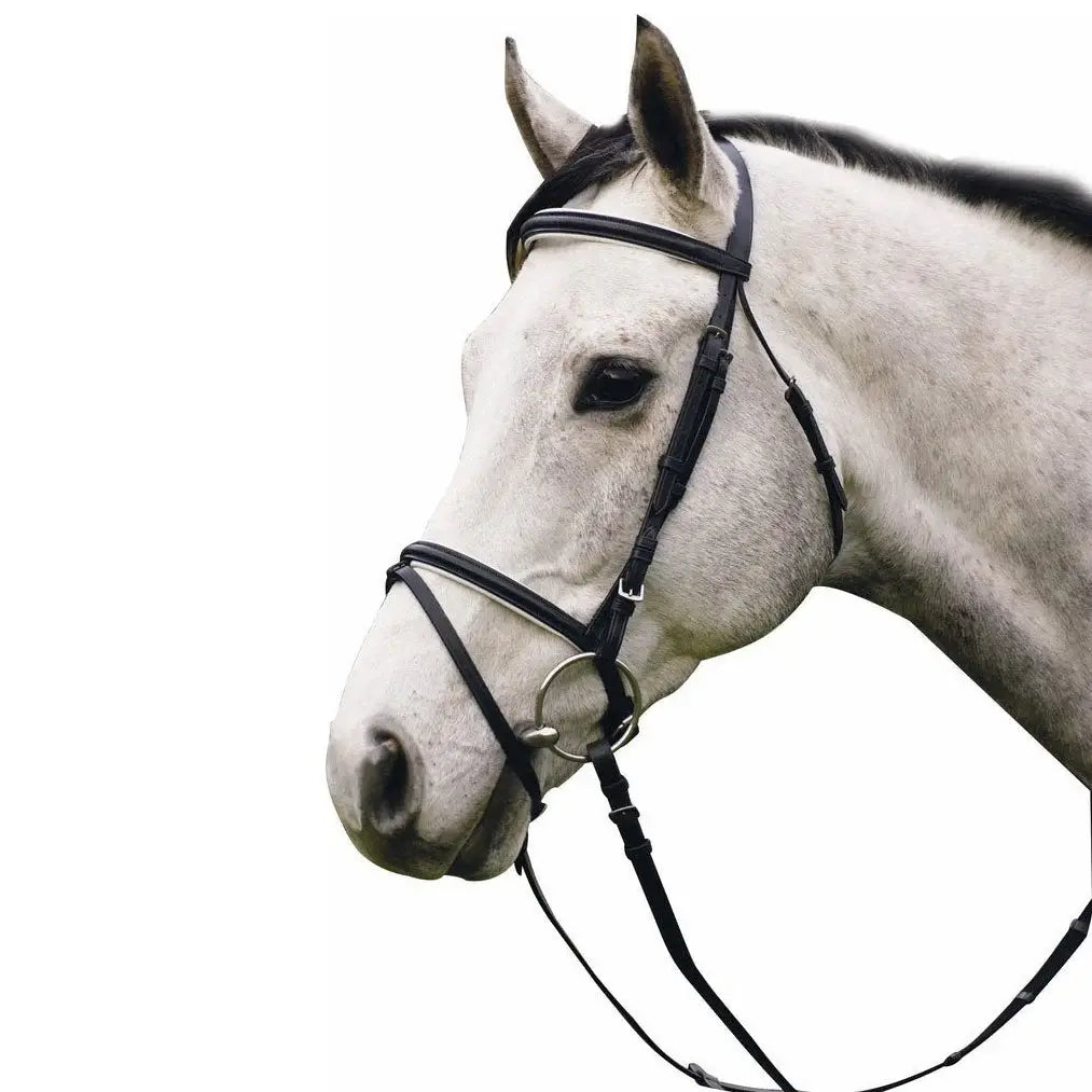 Henri de Rivel Pro Padded Dressage Bridle with Flash and Web Reins - Breeches.com - Flyclothing LLC