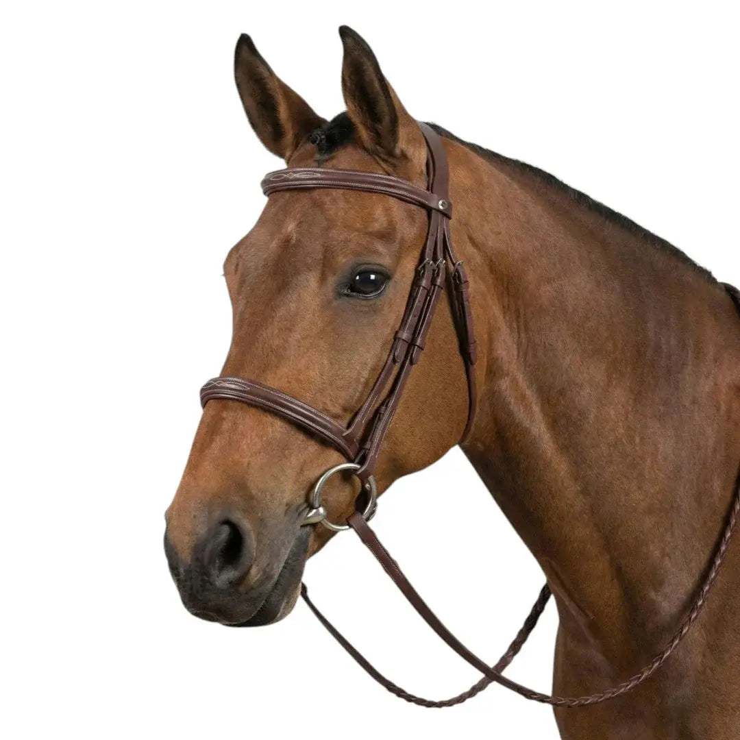 Henri de Rivel Advantage Fancy Raised Snaffle Bridle With Laced Reins - Breeches.com - Flyclothing LLC