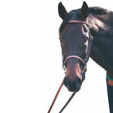 Henri de Rivel Advantage Fancy Raised Snaffle Bridle With Laced Reins - Breeches.com - Flyclothing LLC