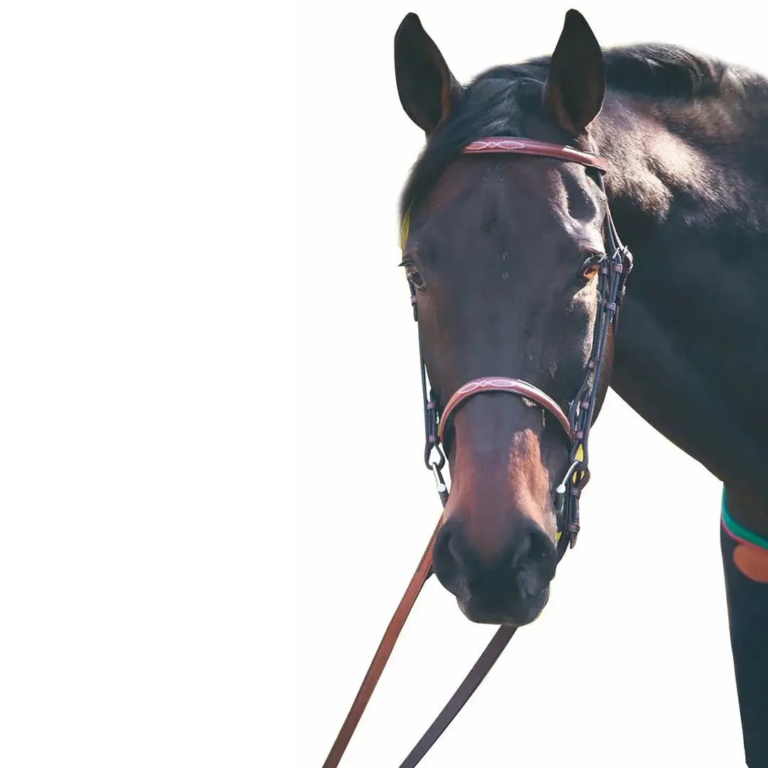 Henri de Rivel Advantage Fancy Raised Snaffle Bridle With Laced Reins - Breeches.com - Flyclothing LLC
