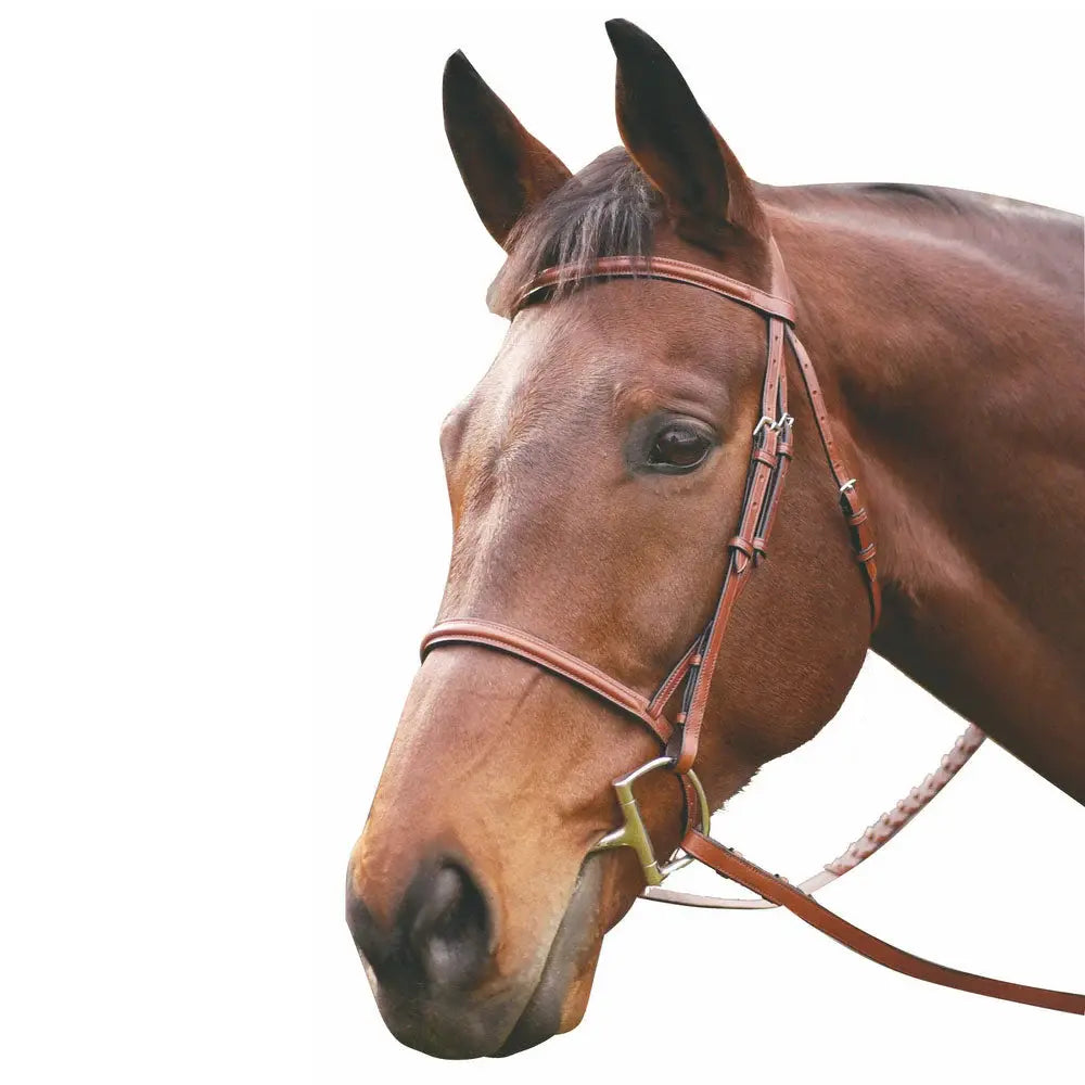 Henri de Rivel Advantage Plain Raised Snaffle Bridle With Laced Reins - Breeches.com - Flyclothing LLC