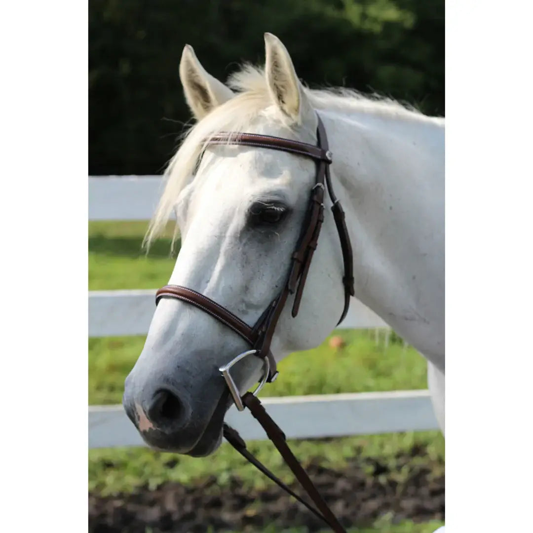 Henri de Rivel Advantage Plain Raised Snaffle Bridle With Laced Reins - Breeches.com - Flyclothing LLC