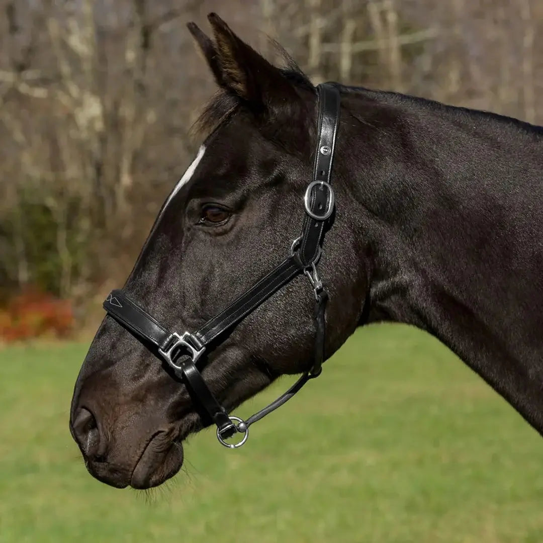 Henri de Rivel Pro Fancy Padded Rolled Throat Triple Stitched Halter - Breeches.com - Flyclothing LLC