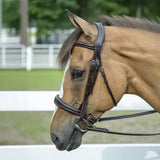 Henri de Rivel Pro Mono-Crown Padded Wide Noseband Bridle - Breeches.com - Flyclothing LLC