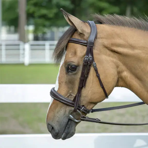 Henri de Rivel Pro Mono-Crown Padded Wide Noseband Bridle - Breeches.com - Flyclothing LLC