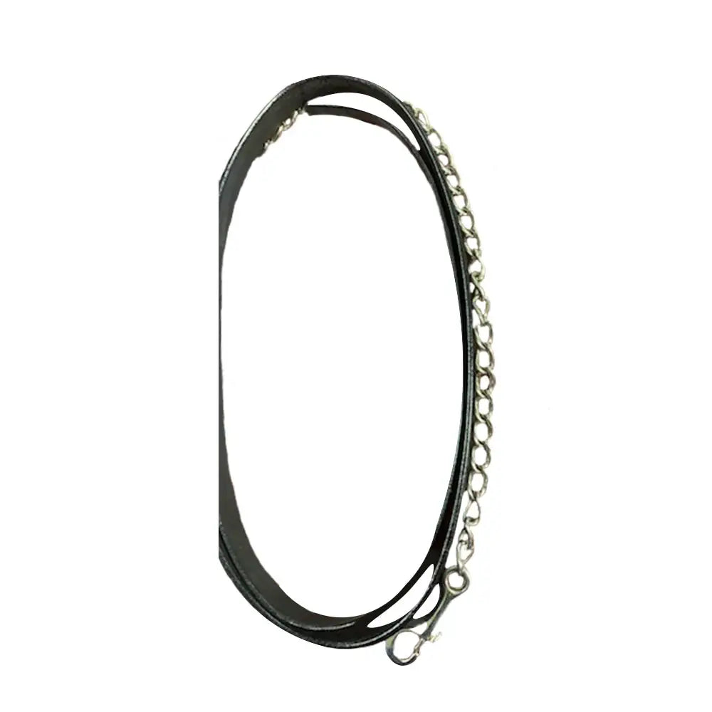 Henri de Rivel Pro Collection Leather Lead with 24" Solid Brass Chain - Breeches.com - Flyclothing LLC