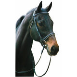 Henri de Rivel Pro Padded Dressage Bridle with Web Reins - Breeches.com - Flyclothing LLC