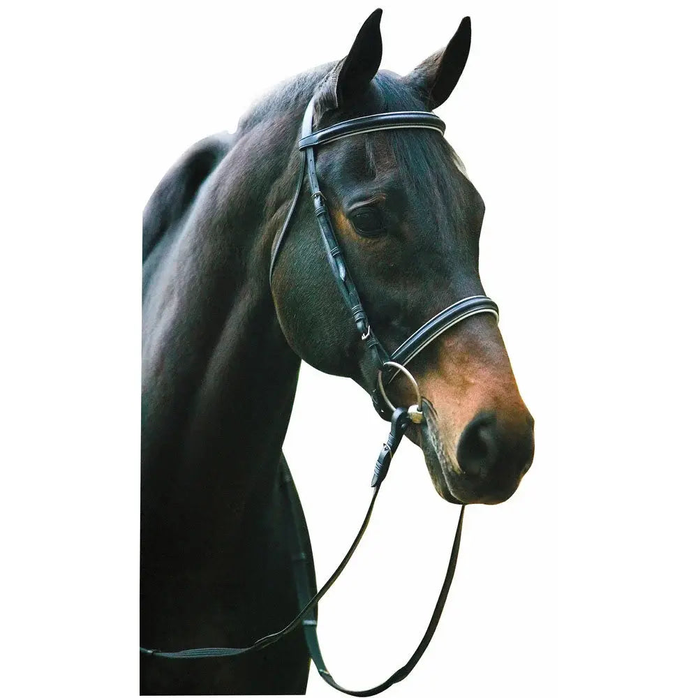 Henri de Rivel Pro Padded Dressage Bridle with Web Reins - Breeches.com - Flyclothing LLC