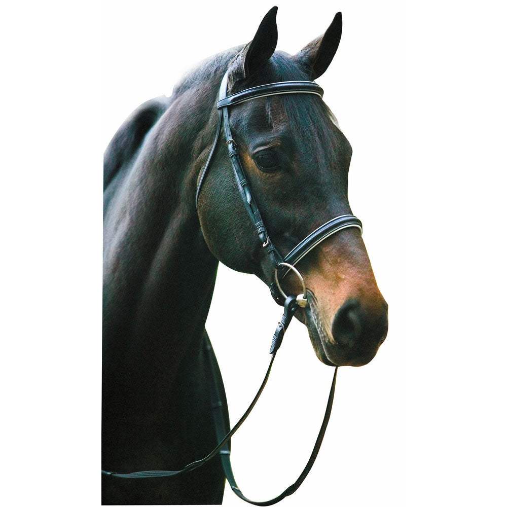 Henri de Rivel Pro Padded Dressage Bridle with Web Reins - Breeches.com - Flyclothing LLC
