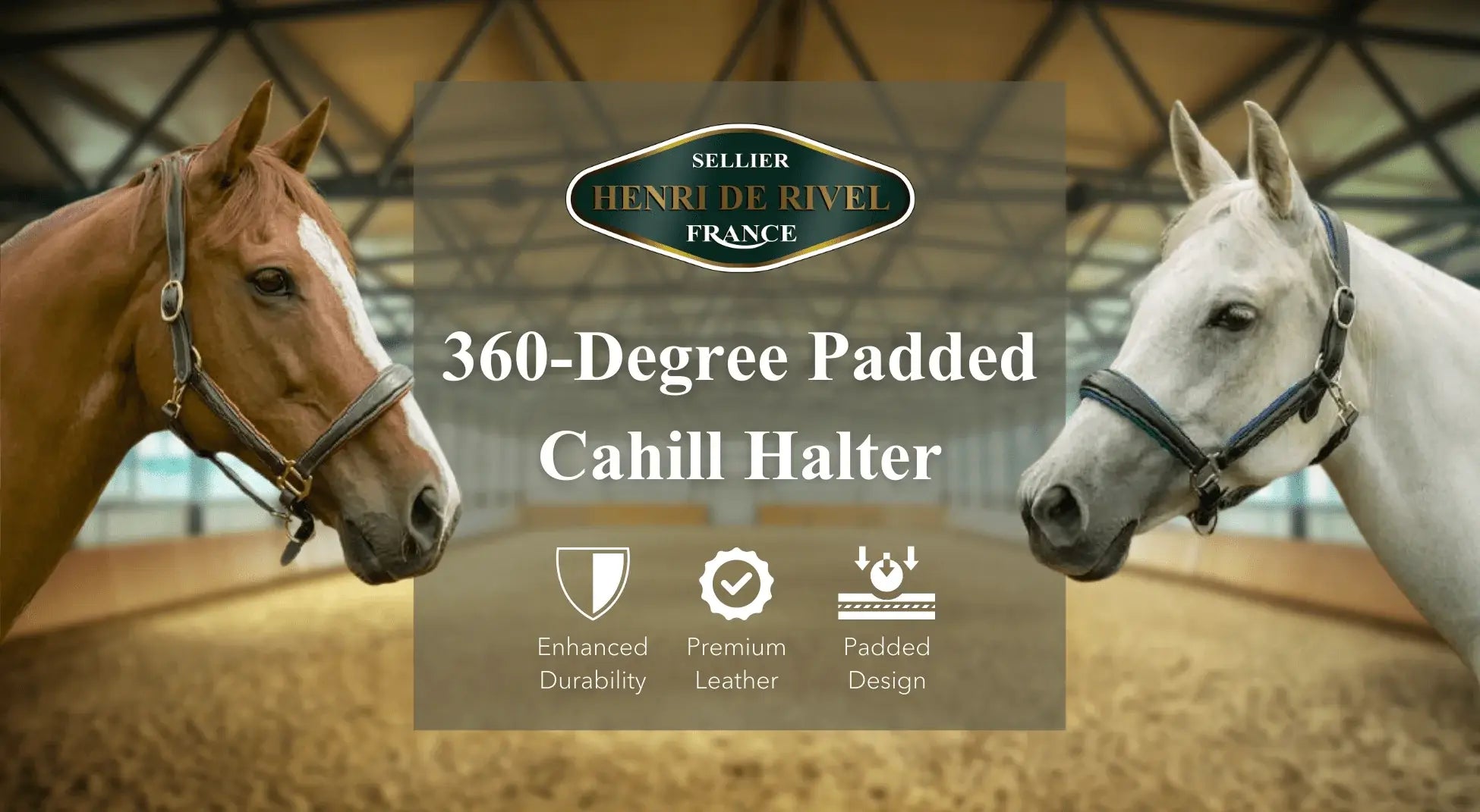 Henri De Rivel 360-Degree Padded Cahill Halter - Breeches.com - Flyclothing LLC