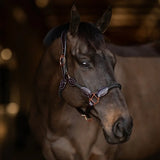 Henri de Rivel Ergonomic Leather Rope Halter - Breeches.com - Flyclothing LLC