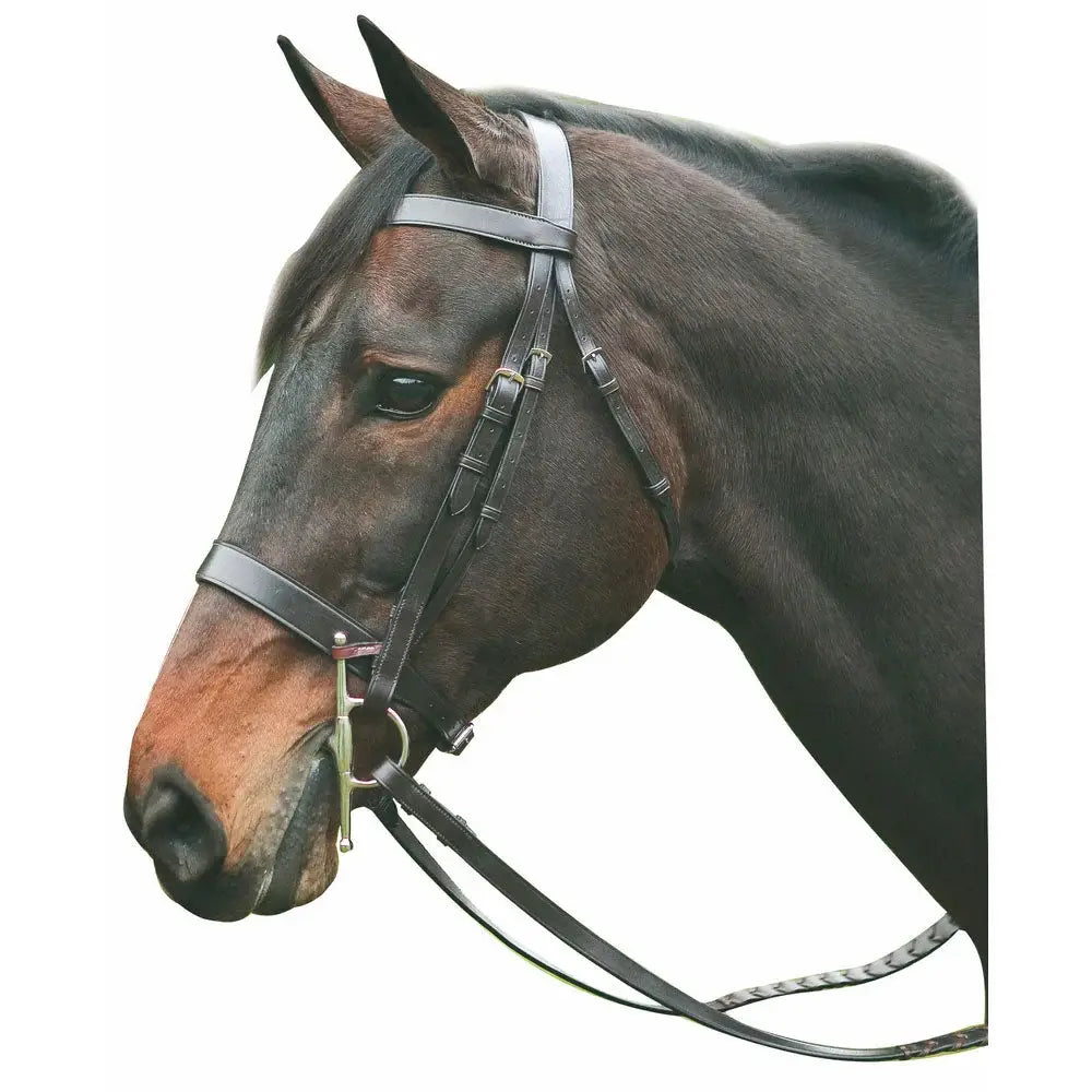 Henri de Rivel Advantage Hunt Bridle - Breeches.com - Flyclothing LLC
