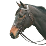 HENRI DE RIVEL POLO BRIDLE WITH DOUBLE REINS - Breeches.com - Flyclothing LLC