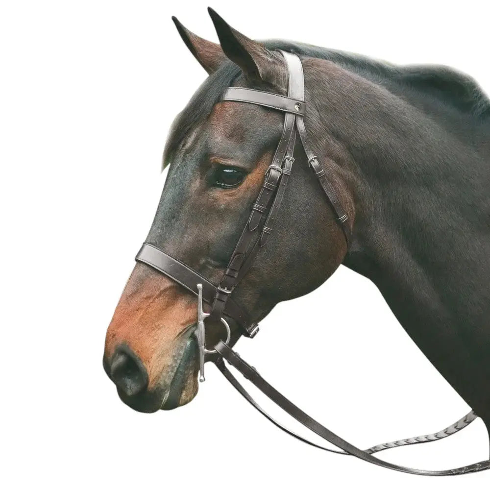 HENRI DE RIVEL POLO BRIDLE WITH DOUBLE REINS - Breeches.com - Flyclothing LLC