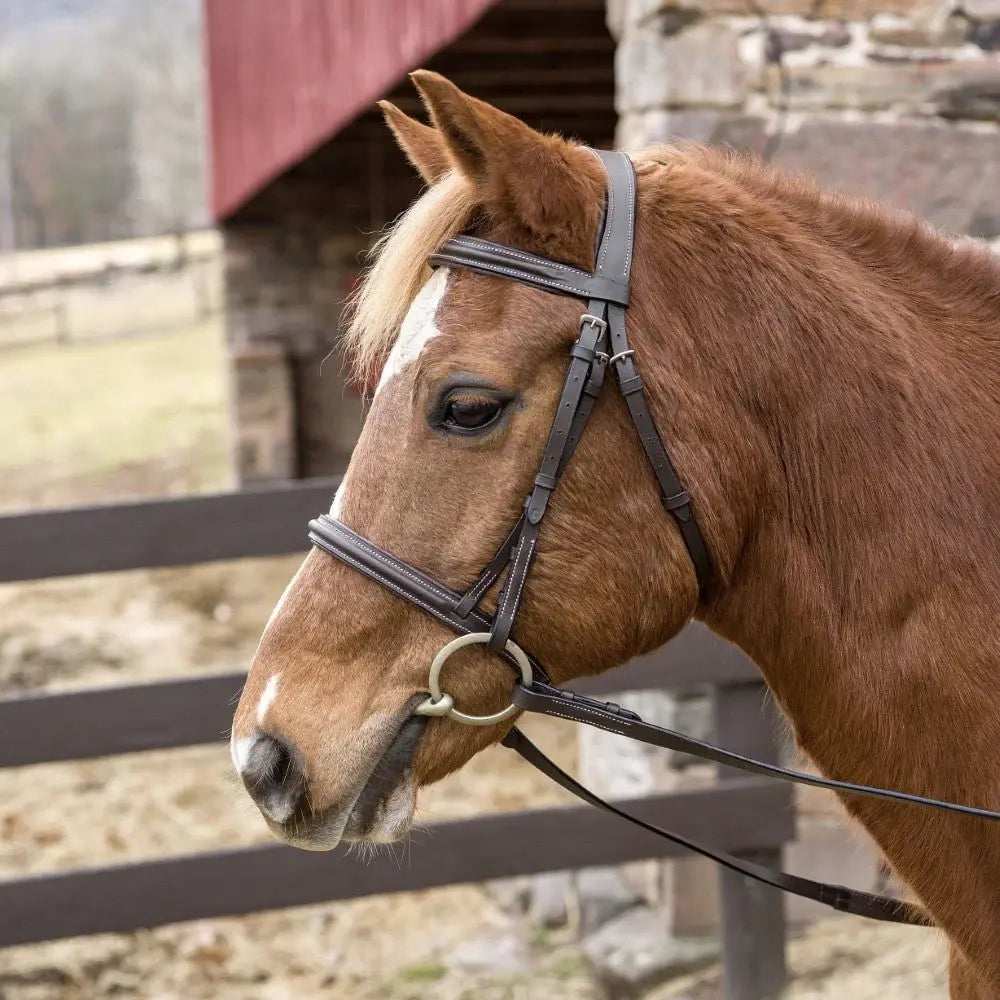 Henri de Rivel Pro Mono Crown Padded Bridle - Breeches.com - Flyclothing LLC