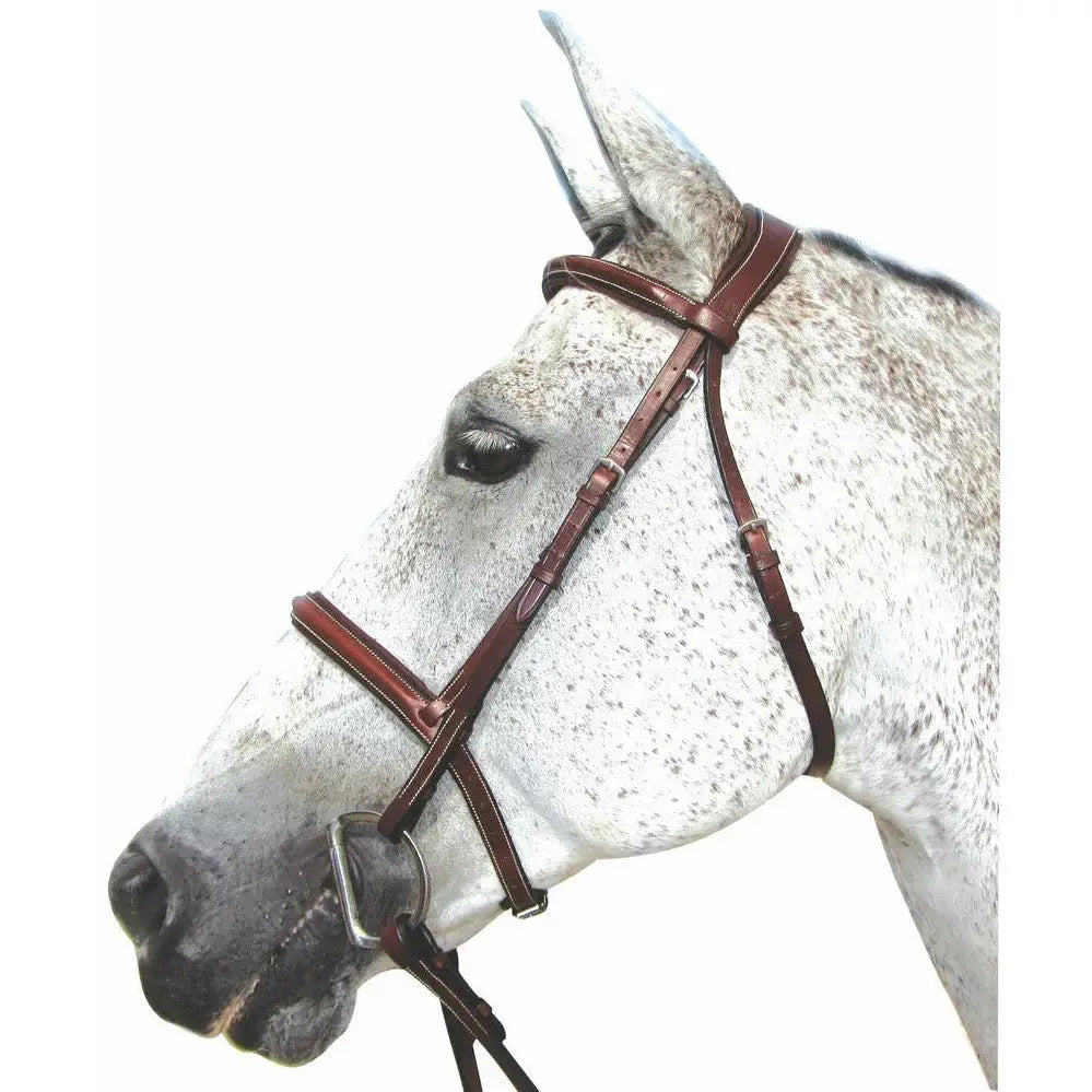 Henri de Rivel Pro Mono Crown Padded Bridle - Breeches.com - Flyclothing LLC