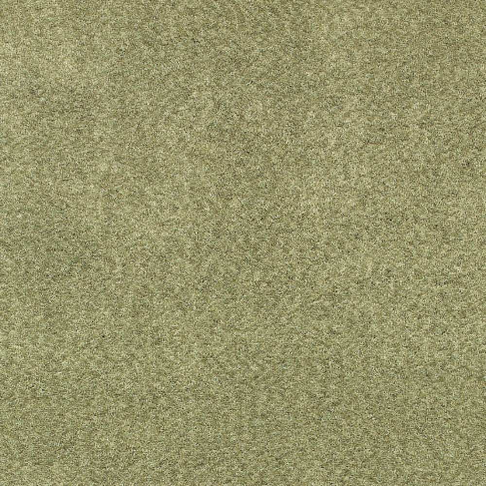 3' X 5' Olive Green Shag Tufted Handmade Stain Resistant Area Rug - Homeroots - Flyclothing LLC