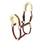 Henri de Rivel Sherpa Fleece Halter with Leather Breakaway - Breeches.com - Flyclothing LLC