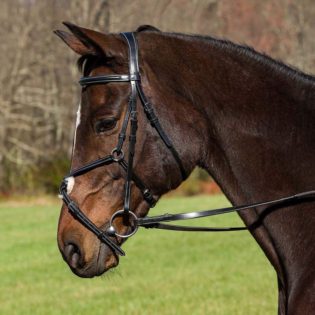 Henri de Rivel Pro Mono Crown Raised Figure Eight Bridle with Rubber Reins - Breeches.com - Flyclothing LLC