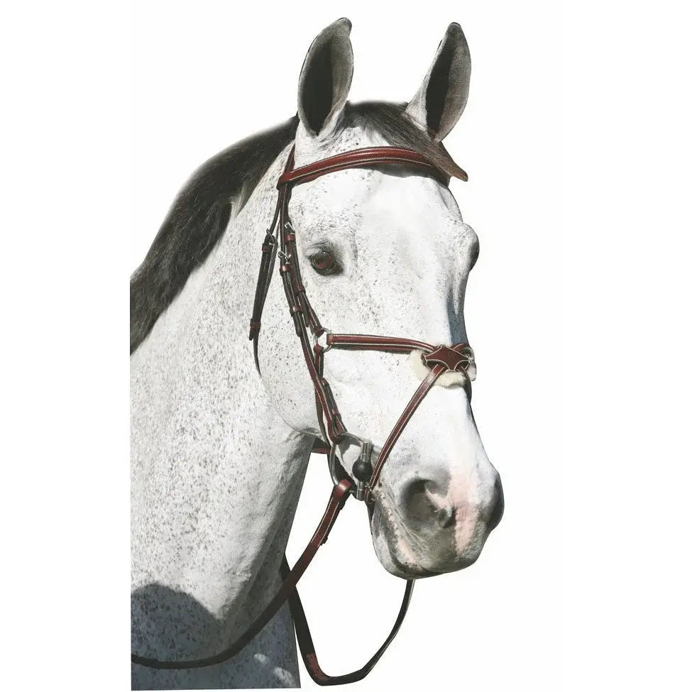Henri de Rivel Pro Mono Crown Raised Figure Eight Bridle with Rubber Reins - Breeches.com - Flyclothing LLC
