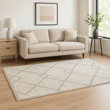 5' X 8' Ivory And Grey Geometric Shag Power Loom Stain Resistant Area Rug - Homeroots - Flyclothing LLC