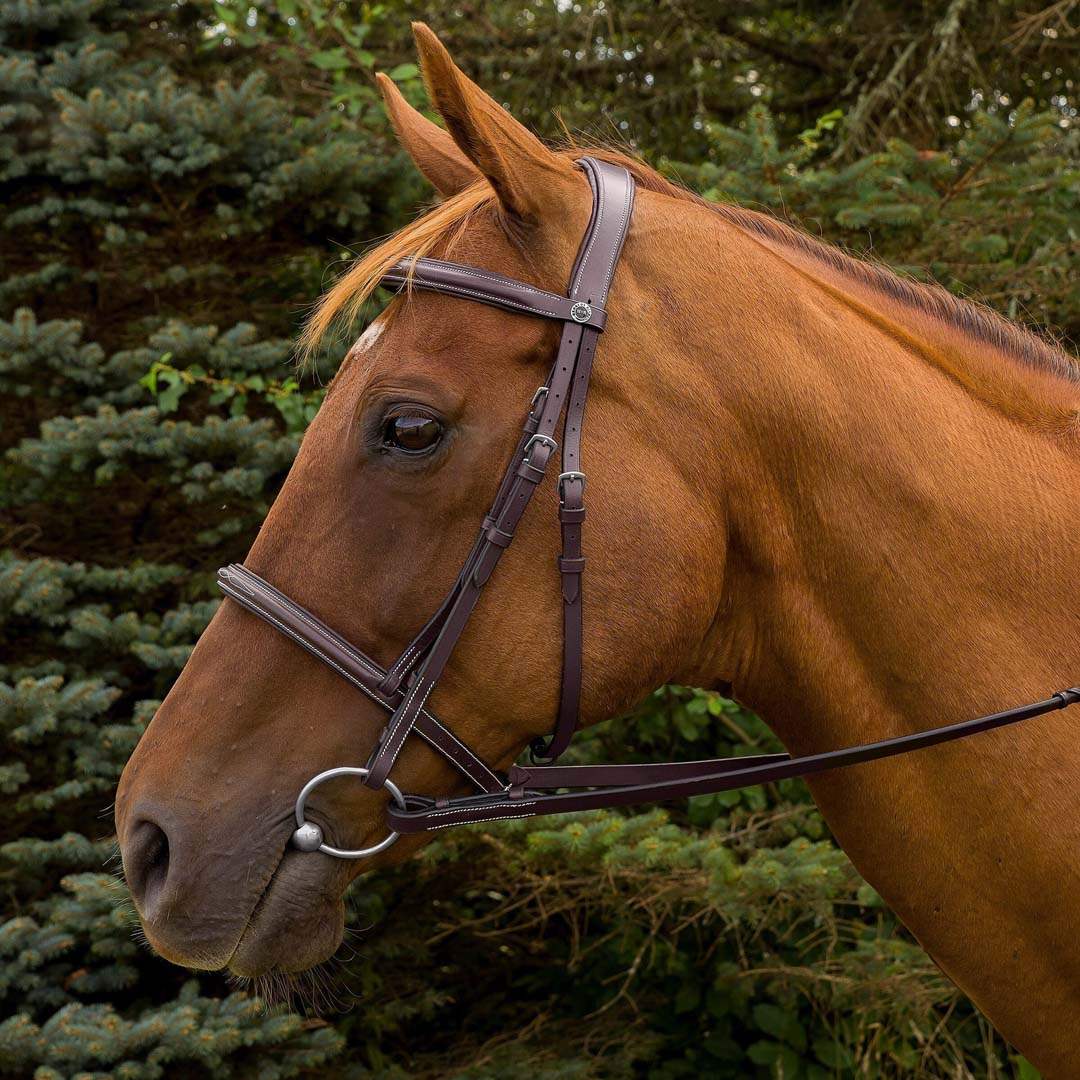 Henri de Rivel Pro Mono Crown Fancy Stitched Padded Bridle - Breeches.com - Flyclothing LLC