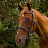 Henri de Rivel Pro Mono Crown Fancy Stitched Padded Bridle - Breeches.com - Flyclothing LLC
