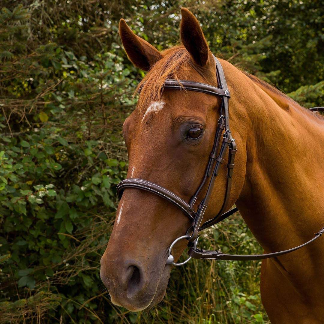 Henri de Rivel Pro Mono Crown Fancy Stitched Padded Bridle - Breeches.com - Flyclothing LLC