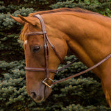 Henri de Rivel Pro Mono Crown Fancy Stitched Padded Bridle - Breeches.com - Flyclothing LLC