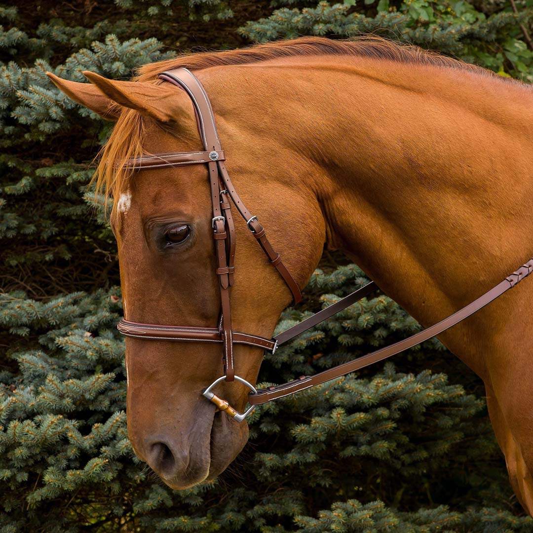 Henri de Rivel Pro Mono Crown Fancy Stitched Padded Bridle - Breeches.com - Flyclothing LLC